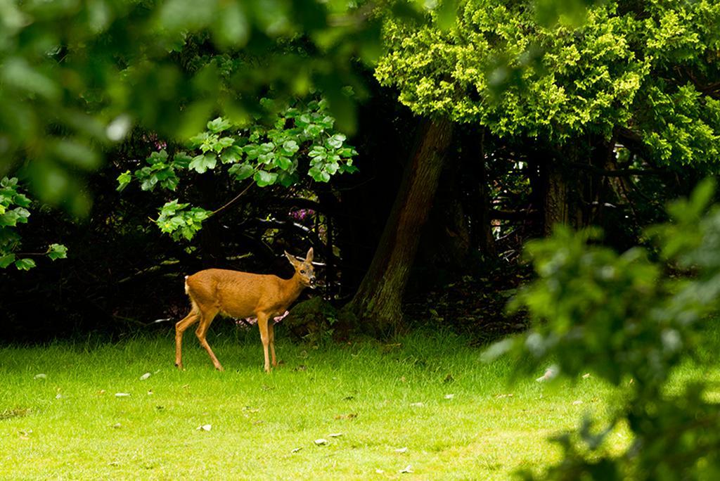 Yha Grasmere Butharlyp Howe Exteriör bild